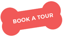 https://www.floordecortexas.com/wp-content/uploads/2019/08/book_a_tour.png