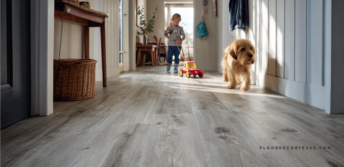 Dog playing in pet resistant flooring
